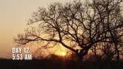 Sonnenaufgang und Beginn von Tag 12.