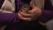 Hope is brought into the clinic for a general check-up after being found abandoned.