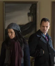 Sherlock (Jonny Lee Miller) and Watson (Lucy Liu) pursue Martin Ennis, an unpredictable criminal, before he strikes again.