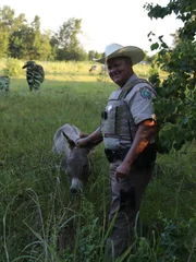 Mike Boone petting a Donkey.