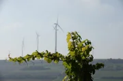 Manche nennen das Zellertal auch ironisch „Propellertal“. Die rund um das Tal aufgestellten Windkraftanlagen haben das Gesicht der Region nachhaltig verändert.