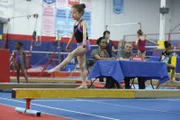 Aubrey Anderson-Emmons