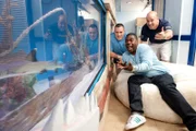 Brett, Wayde und Tracy Morgan
