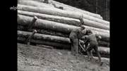 Lösen der Sperren, um die Stämme in den See rollen zu lassen. Diese Arbeit war so gefährlich, dass sie früher nur von ledigen Holzarbeitern und Bauern gemacht werden durfte.