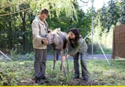 Tierärztin Dr. Mertens (Elisabeth Lanz, r.) und Tierpfleger Conny (Thorsten Wolf, l.) rätseln über die Ursache der geschwollenen Gelenke des kleinen Elches.