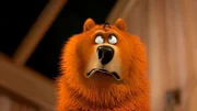Oh nein! Eine Spinne, mitten auf dem Kopf von Grizzy! Dabei hat ausgerechnet er doch furchtbare Angst vor den kleinen Krabbeltieren!  +++