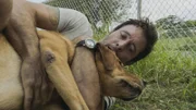 Steve McGarrett (Alex O'Loughlin)
