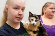 Princess, a calico cat, is brought in for a pregnancy check by Sharon and Jasmine.