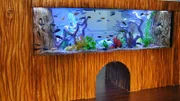 The finished Camp Ojai aquarium.
