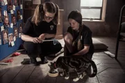 Maude (Megan Hughes, l.) und Mildred (Bella Ramsey) wollen herausfinden, wer hinter dem Spiel steckt, das so gut wie alle an der Akademie süchtig macht. Ein Riechzauber soll sie zur "Schaltzentrale" des Spiels führen. Auch die Katze Tapsi steckt mal ihre Nase in den Zaubertrank.