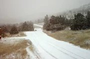 Außerhalb einer verschlafenen Bergstadt in Montana lauert in der Stille und Dunkelheit ein Raubtier, das man nur äußerst selten zu Gesicht bekommt: der Puma.