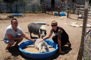 John Doe was brought in by Georgie from Life is Better to get his leg checked and put up for adoption.