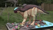Beauty of Hadrosaurus Cake at delivery.