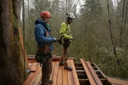 During the build.