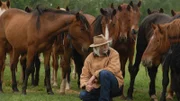 Erich Pröll with mustangs.