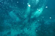 Darrell Miklos und Steve Smith tauchen im markierten Zielgebiet in der Bucht von Campeche, Mexiko.
