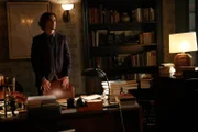 Reid (Matthew Gray Gubler) hat einen Entschluss gefasst: Er will seiner Mutter keine weiteren Studien mehr zumuten und holt sie zu sich nach Hause. Eine schwere Zeit steht ihm bevor ...