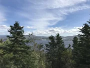 Die "Grand Lady" in Kanada zwischen Bäumen.