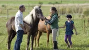 SENDER: ARD - SENDETITEL: Tiere bis unters Dach Folge 38 - UNTERTITEL: Goldesel - CAPTION: ARD/SWR TIERE BIS UNTERS DACH FOLGE 38, 'Goldesel', am Montag (01.04.13) um 09:00 Uhr im ERSTEN. Tierarzt Philip Hansen (Heikko Deutschmann) schaut sich in Begleitung von Nelly (Jule-Marleen Schuck) die Pferde von Reitstallbesitzerin Graetz (Doris Böhm) an.
