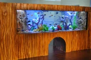 The finished Camp Ojai aquarium.