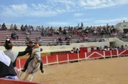 Die "Courses Camarguaises" - unblutige Stierspiele in der Camargue - in der Stierkampfarena von Le Grau-du-Roi.
