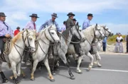 Stierzüchter der Camargue zu Pferde.