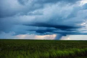 Über den üppigen Graslandschaften geht ein Gewitter nieder