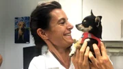 In der Sprechstunde von Dr. Yasmin Diepenbruck wartet die ausgesetzte Chihuahua-Hündin Maja.
