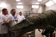 Danny and Joe react to T rex visitor.