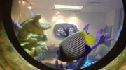 The outside of the office through the tank 'peep hole.'