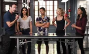 (v.l.n.r.) Steve McGarrett (Alex O'Loughlin), Quinn Liu (Katrina Law), Thomas Magnum (Jay Hernandez), Juliett Higgins (Perdita Weeks), Tani Rey (Meaghan Rath)