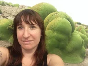 Was steckt wirklich hinter den lebenden Felsen? Wie entstehen die äußerst gefährlichen Feuertornados? Sonderbare Phänomene, auf deren Spur sich die Doku heftet.