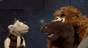 Woll-Solo und Pferd-Bacca in Aktion