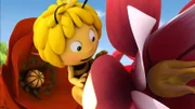 Maja ist die erste Biene die eine Blume angepflanzt hat.