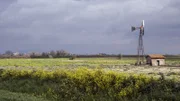 Malerische Toskana: Die Landschaft des Parco Regionale della Maremma ist von menschlichen Einflüssen geprägt.