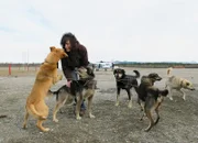 Jamie Klaes mit ihrem Flugzeug und ihren Schlittenhunden in Bettles, Alaska