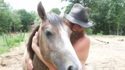 A portrait shot of two horses on the Sanders-Babbit homestead.