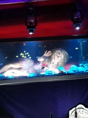 The finished Coffin aquarium.