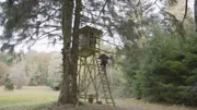 Hochstand