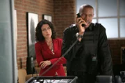 Während ein Swat-Team unter der Leitung von Bowman (Wood Harris, M.) an einer Strategie arbeitet, den Kidnapper zu überwältigen, macht sich Dr. Cuddy (Lisa Edelstein) große Sorgen um House und die weiteren Geiseln.