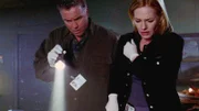 Wer ermordet eine alte Frau, die etlichen Katzen ein neues Zuhause gab? Gil (William Petersen) und Catherine (Marg Helgenberger) beginnen mit ihren Ermittlungen.