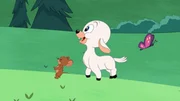 v.li: Jerry, Ewe