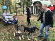 Reiseleiter Bernd Wallisch (rechts) und Reiseleiterin Maika Wuescher machen in Trois-Rivières, Kanada, eine Fahrt mit dem Manitou Musher, einem Hundeschlitten auf Rädern, der von Schlittenhunden gezogen wird.