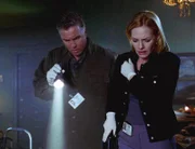 Wer hat die alte Dame erstochen? Gil (William Petersen) und Cathrine (Marg Helgenberger) ermitteln.