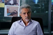 David Rossi (Joe Mantegna)