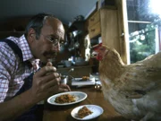 Peter hat bei einer Verlosung ein Huhn gewonnen. Was soll er mit dem Tier machen?