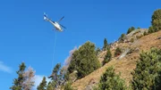 A helicopter carrying chopped wood