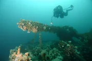 Faszinierende Schiffswracks und dunkle Unterwassertunnel entführen Taucher auf der kanadischen Bell Island in ein unbekanntes Kapitel der Geschichte.