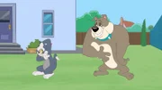 v.li.: Tom, Benny