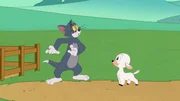 v.li.: Tom, Ewe